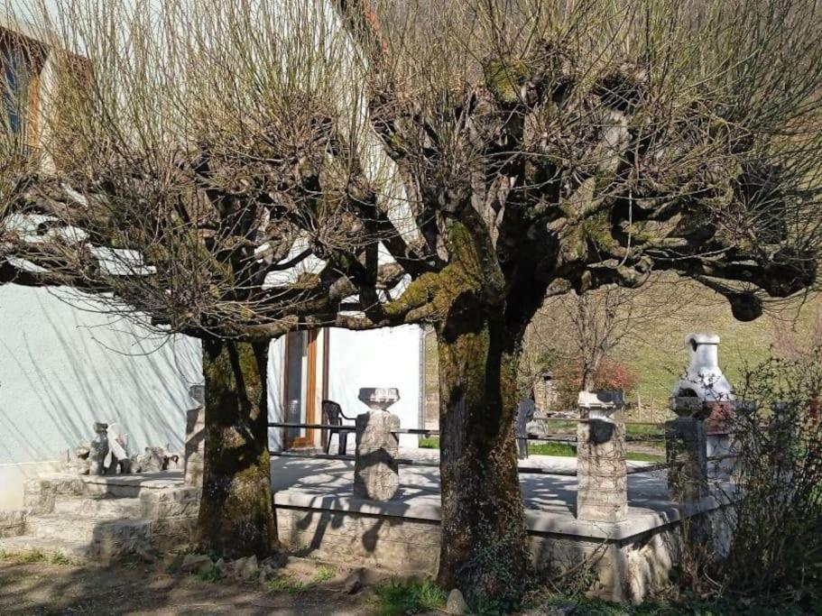 Gite A La Bonne Fermiere Nevy-Sur-Seille 외부 사진